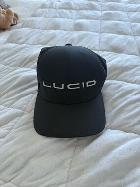 Lucid Embroidered Logo dark gray hat